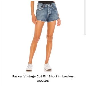 Agolde Parker Vintage Cutoff Short in Low Key